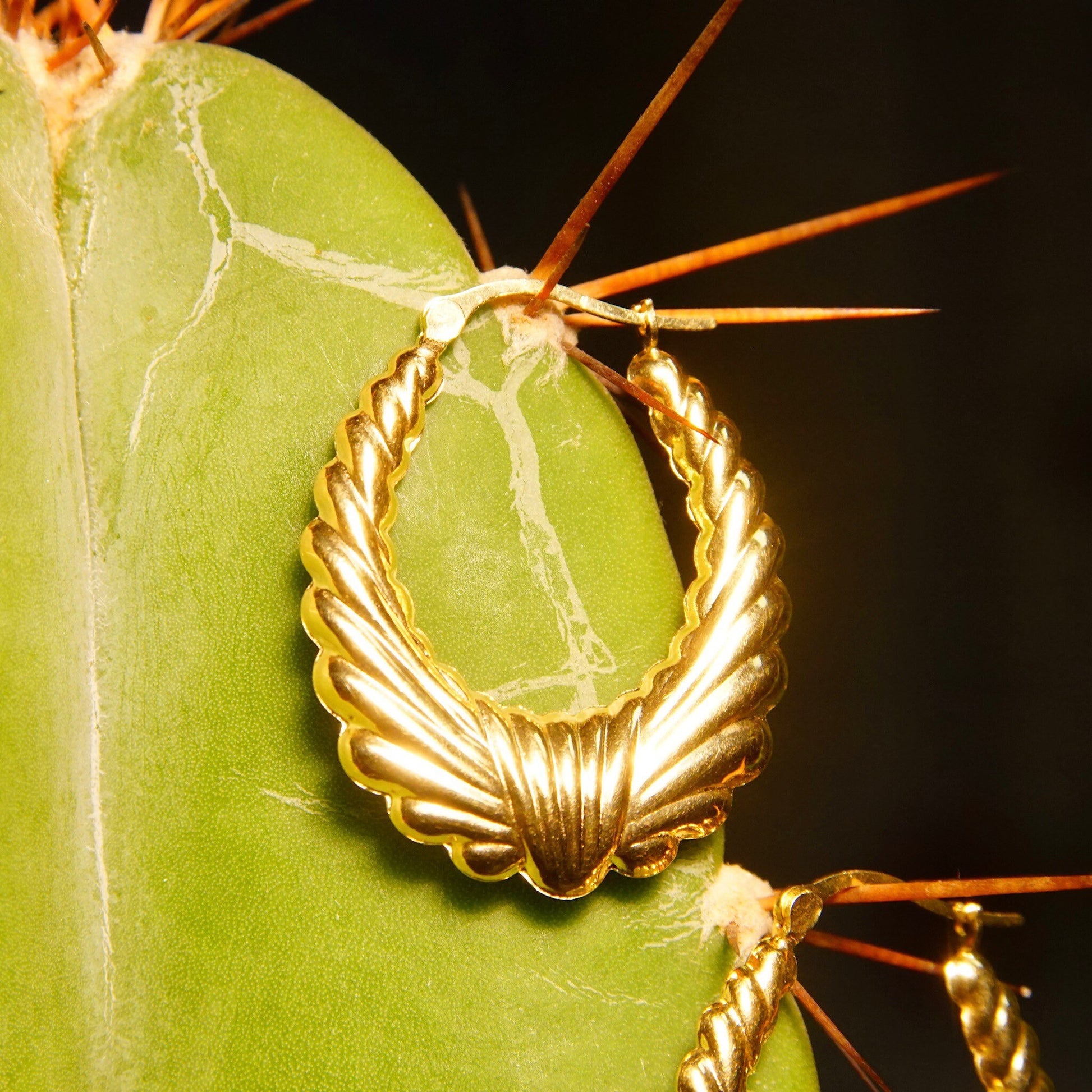 Vintage 14K yellow gold scalloped hoop earrings with puffed wreath design, elegant medium-sized 585 gold hoops measuring approximately 1 1/4 inches long, sophisticated gold jewelry displayed on green cactus leaf.