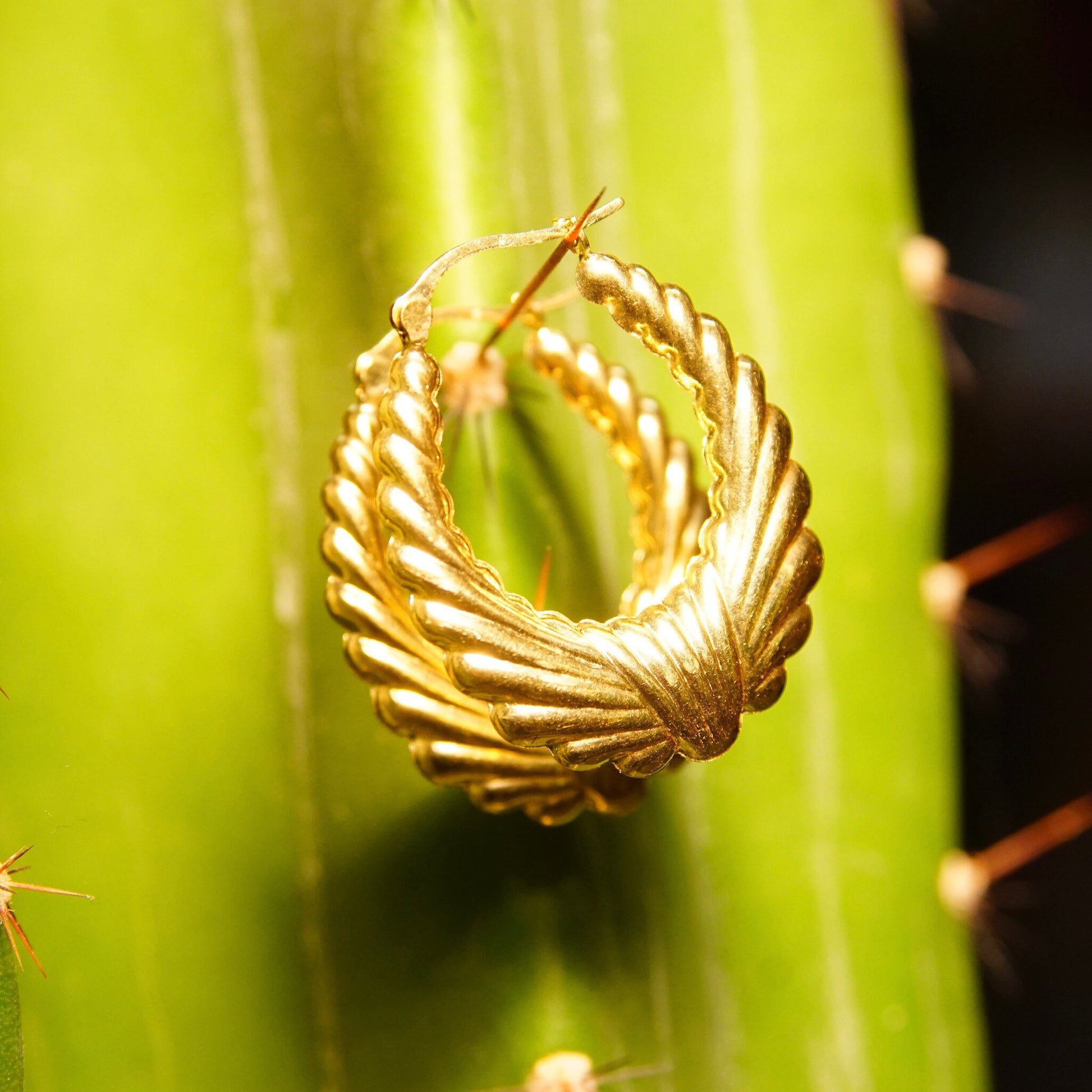 Closeup of a curled, golden fern frond unfurling against a blurred green background