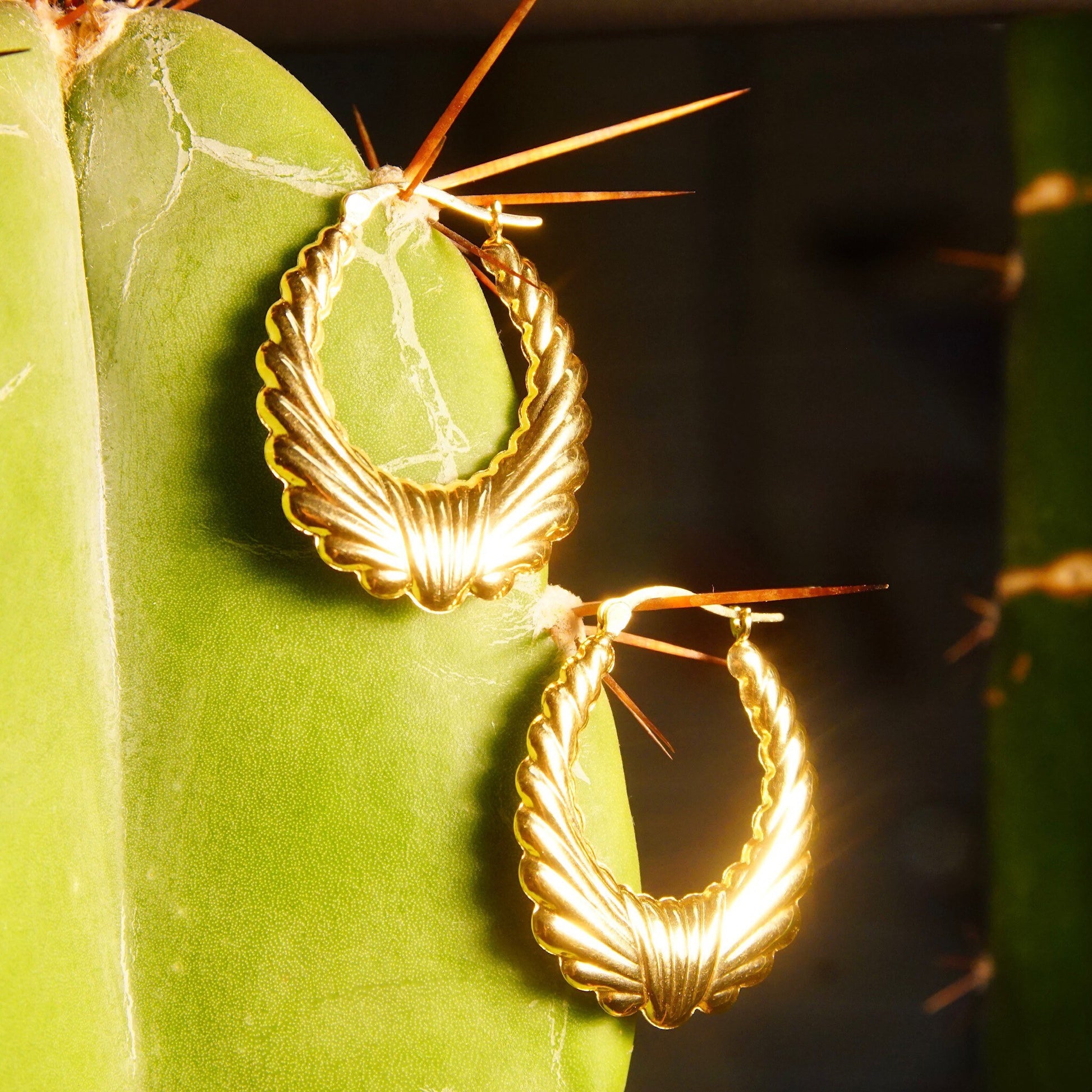 Vintage 14K yellow gold scalloped hoop earrings on succulent plant, close up view showing intricate twisted wreath design and polished shine against green cactus leaf background.