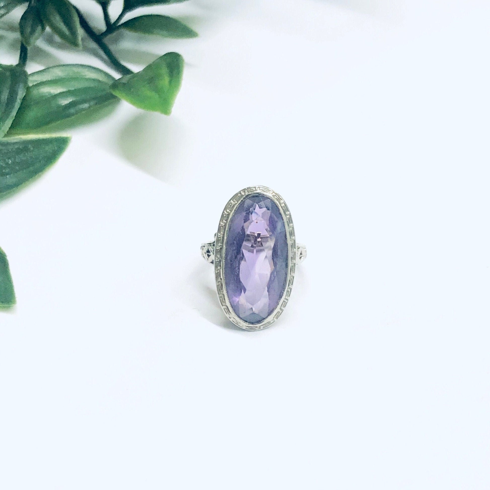 Vintage 18K white gold ring with oval-cut amethyst gemstone, ornate milgrain detailing on band, displayed next to green leafy plant on white background.